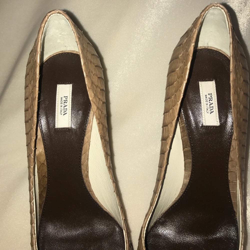 Prada Python Beige/Brown Pumps - image 4